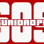 Soluciones Rápidas y Eficientes en Seguridad Privada en Perú